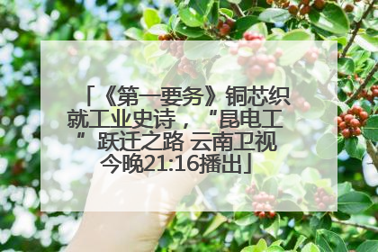 《第一要务》铜芯织就工业史诗，“昆电工”跃迁之路 云南卫视今晚21:16播出