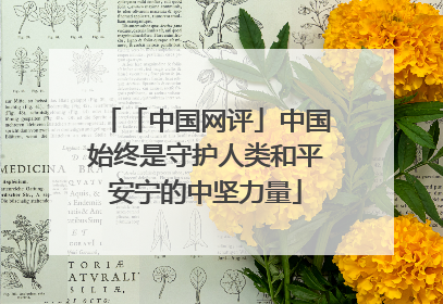 「中国网评」中国始终是守护人类和平安宁的中坚力量