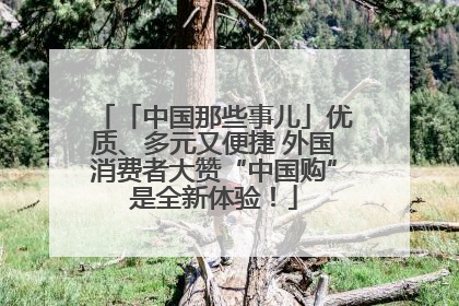 「中国那些事儿」优质、多元又便捷 外国消费者大赞“中国购”是全新体验！