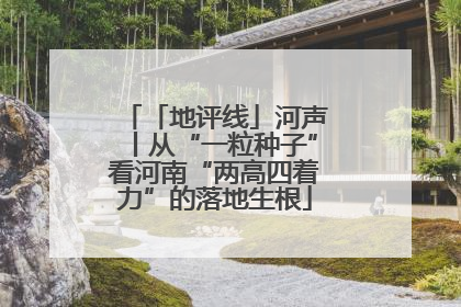 「地评线」河声丨从“一粒种子”看河南“两高四着力”的落地生根