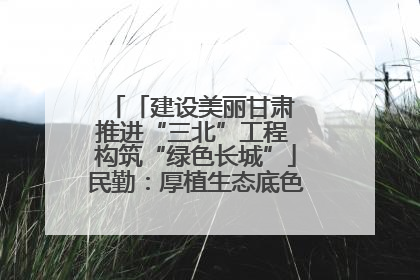 「建设美丽甘肃 推进“三北”工程 构筑“绿色长城”」民勤：厚植生态底色 筑牢绿色屏障