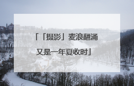 「摄影」麦浪翻涌 又是一年夏收时