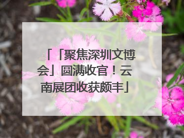 「聚焦深圳文博会」圆满收官！云南展团收获颇丰