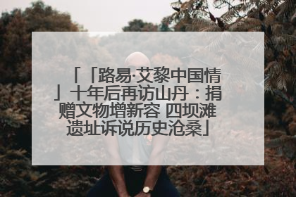 「路易·艾黎中国情」十年后再访山丹：捐赠文物增新容 四坝滩遗址诉说历史沧桑
