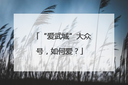“爱武城”大众号，如何爱？