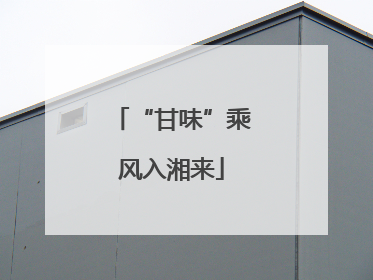 “甘味”乘风入湘来