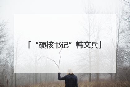 “硬核书记”韩文兵