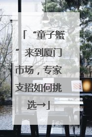 “童子蟹”来到厦门市场，专家支招如何挑选→