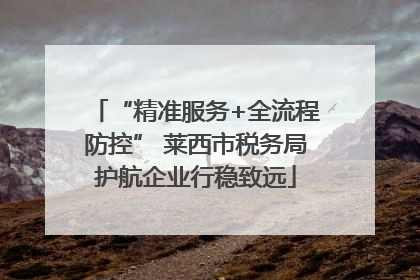“精准服务+全流程防控” 莱西市税务局护航企业行稳致远