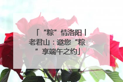 “粽”情洛阳丨老君山：邀您“粽”享端午之约