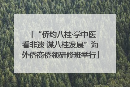 “侨约八桂·学中医 看非遗 谋八桂发展”海外侨商侨领研修班举行