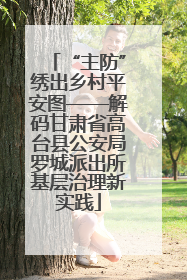 “主防”绣出乡村平安图——解码甘肃省高台县公安局罗城派出所基层治理新实践