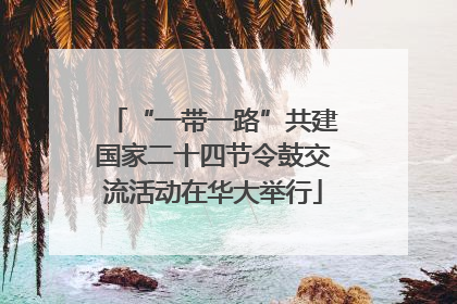 “一带一路”共建国家二十四节令鼓交流活动在华大举行