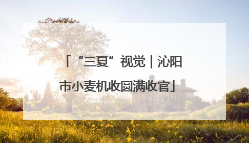 “三夏”视觉｜沁阳市小麦机收圆满收官