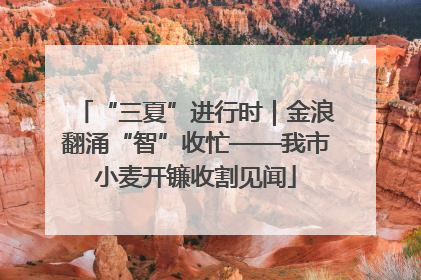 “三夏”进行时｜金浪翻涌“智”收忙——我市小麦开镰收割见闻