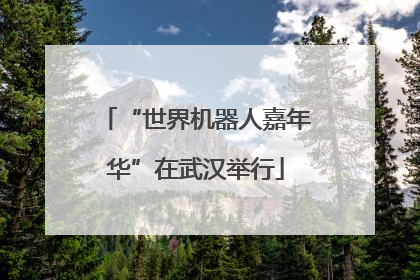 “世界机器人嘉年华”在武汉举行