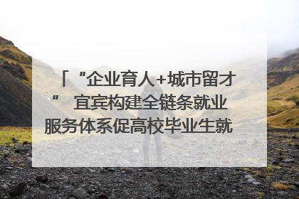 “企业育人+城市留才” 宜宾构建全链条就业服务体系促高校毕业生就业｜您牵挂的四川
