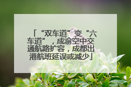 “双车道”变“六车道”，成渝空中交通航路扩容，成都出港航班延误或减少