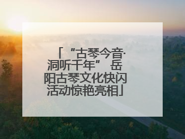 “古琴今音·洞听千年” 岳阳古琴文化快闪活动惊艳亮相