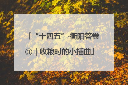 “十四五”·衡阳答卷③｜收粮时的小插曲