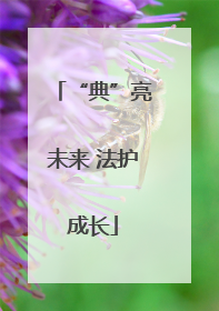 “典”亮未来 法护成长