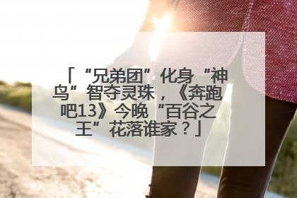 “兄弟团”化身“神鸟”智夺灵珠，《奔跑吧13》今晚“百谷之王”花落谁家？