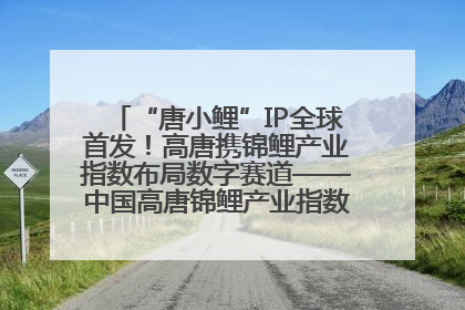 “唐小鲤”IP全球首发！高唐携锦鲤产业指数布局数字赛道——中国高唐锦鲤产业指数暨“唐小鲤”IP全球首发仪式在杭州举行