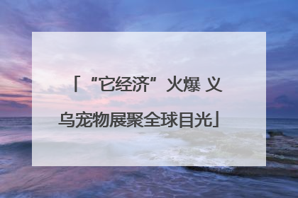 “它经济”火爆 义乌宠物展聚全球目光