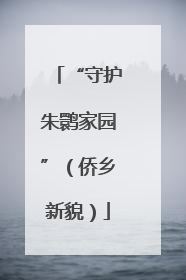 “守护朱鹮家园”（侨乡新貌）