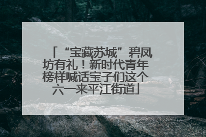 “宝藏苏城”碧凤坊有礼！新时代青年榜样喊话宝子们这个六一来平江街道
