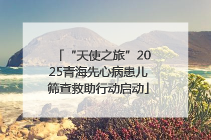 “天使之旅”2025青海先心病患儿筛查救助行动启动