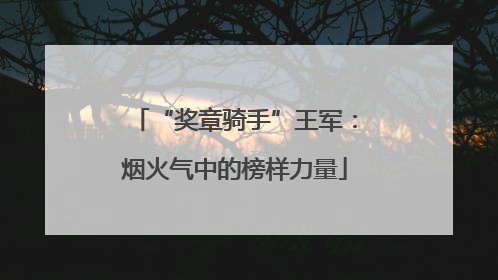 “奖章骑手”王军：烟火气中的榜样力量