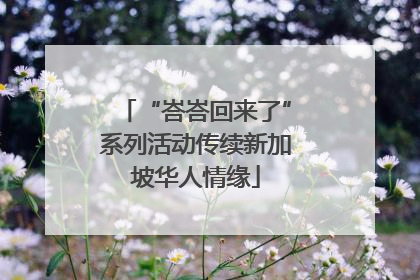“峇峇回来了”系列活动传续新加坡华人情缘