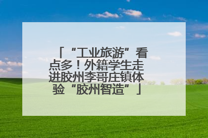 “工业旅游”看点多！外籍学生走进胶州李哥庄镇体验“胶州智造”