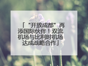 “开放成都”再添国际伙伴！双流机场与比利时机场达成战略合作