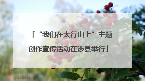 “我们在太行山上”主题创作宣传活动在涉县举行