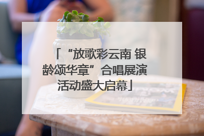 “放歌彩云南 银龄颂华章”合唱展演活动盛大启幕