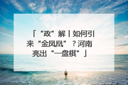 “政”解丨如何引来“金凤凰”？河南亮出“一盘棋”