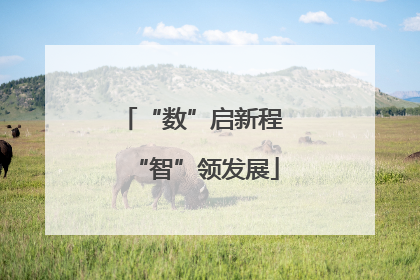 “数”启新程 “智”领发展
