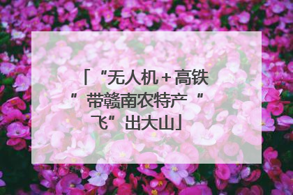 “无人机＋高铁”带赣南农特产“飞”出大山