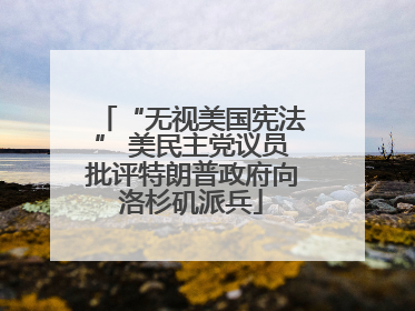 “无视美国宪法” 美民主党议员批评特朗普政府向洛杉矶派兵