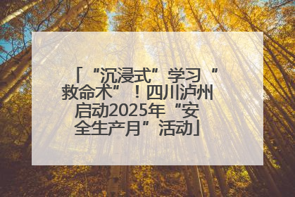 “沉浸式”学习“救命术”！四川泸州启动2025年“安全生产月”活动