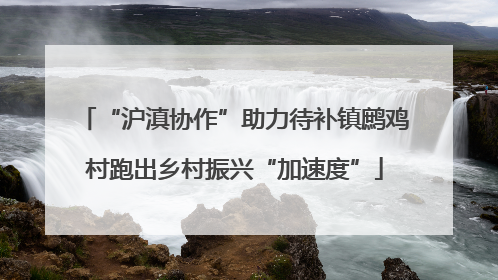 “沪滇协作”助力待补镇鹧鸡村跑出乡村振兴“加速度”