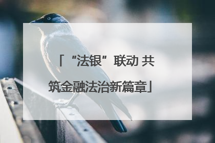 “法银”联动 共筑金融法治新篇章