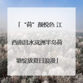 “荷”颜悦色 江西南昌水岚洲半岛荷塘绽放夏日浪漫