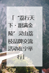 “荔行天下・甜满金陵”灵山荔枝品牌交流活动在宁举行