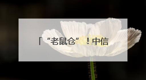 “老鼠仓”！中信证券IT人员被罚没426万元！