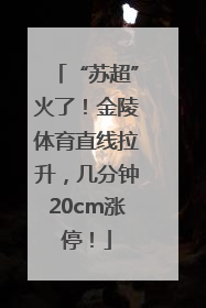 “苏超”火了！金陵体育直线拉升，几分钟20cm涨停！