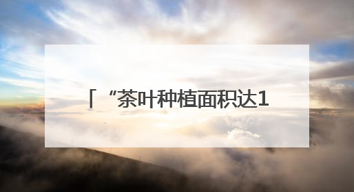 “茶叶种植面积达12.5万亩，全产业链产值达57亿元” 浙江武义茶产业全链发展“加速度”