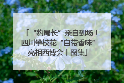 “豹局长”亲自到场！四川攀枝花“自带香味”亮相西博会丨图集